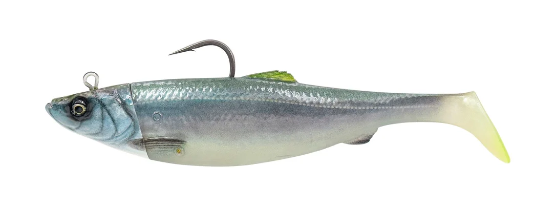 promopesca2846039